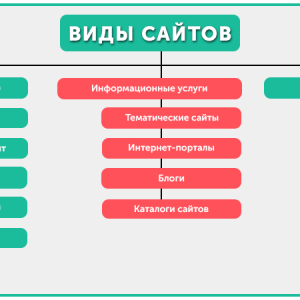 vidu-saitov1