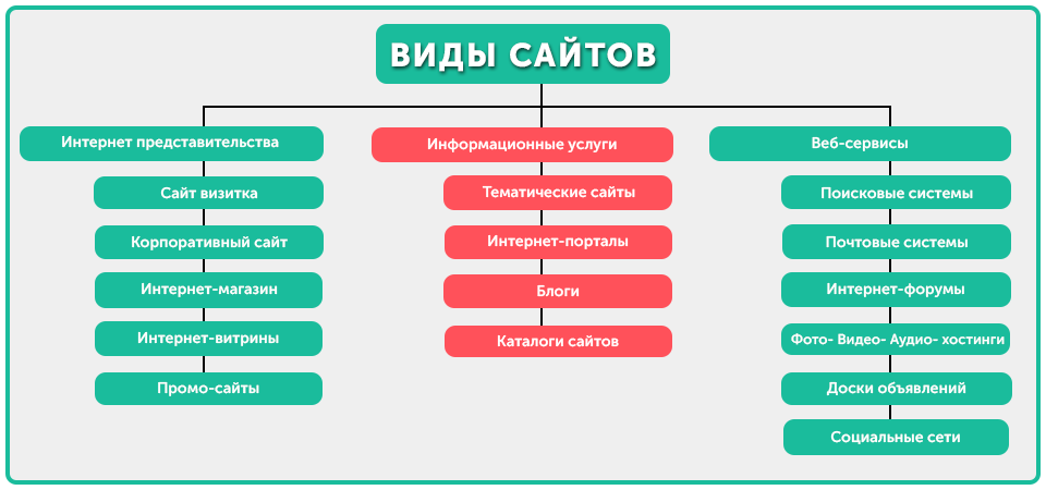 vidu-saitov1